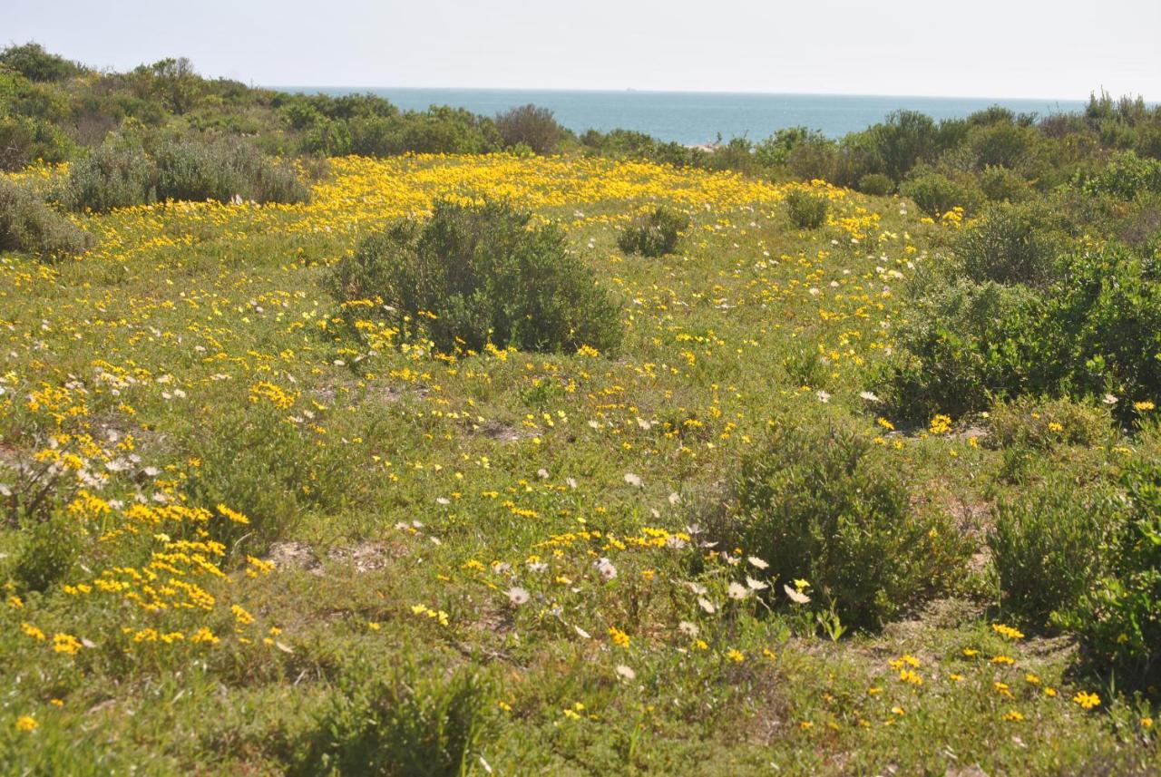 Stay At Bokkoms In Paternoster Self Catering Accommodation Zewnętrze zdjęcie