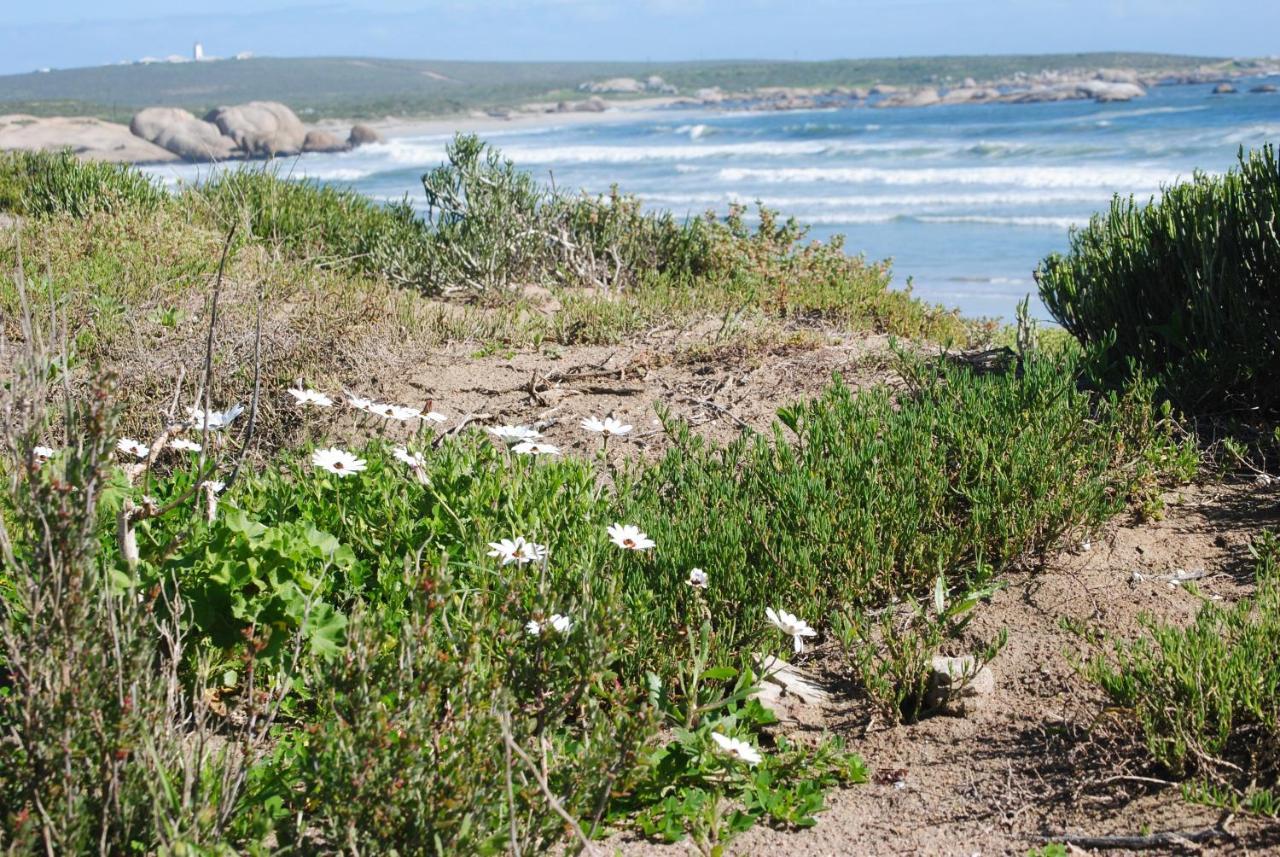 Stay At Bokkoms In Paternoster Self Catering Accommodation Zewnętrze zdjęcie