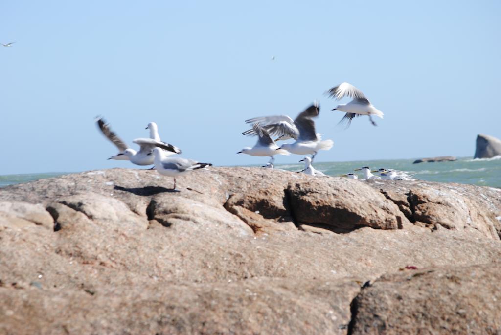 Stay At Bokkoms In Paternoster Self Catering Accommodation Zewnętrze zdjęcie